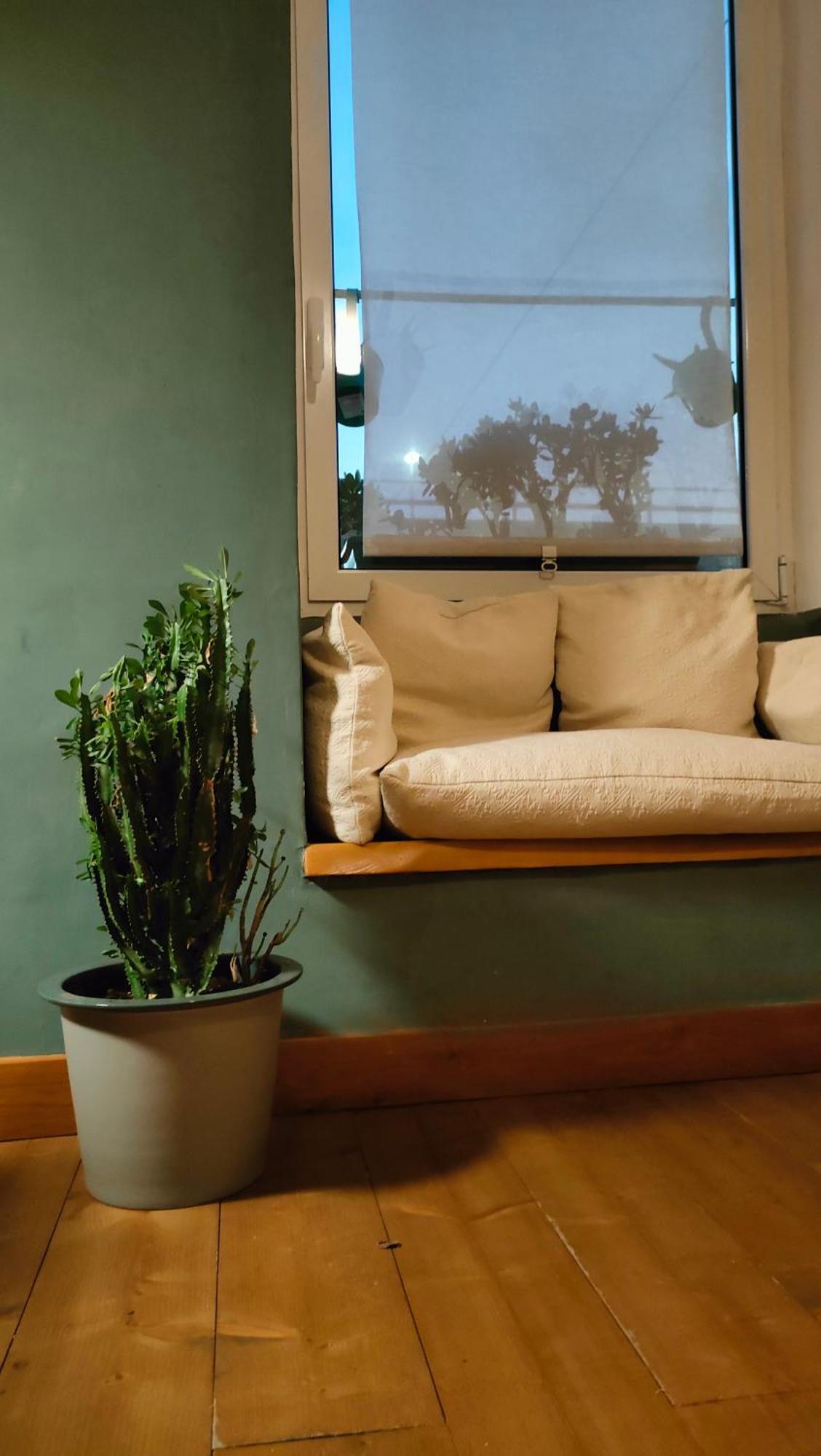 ジェノヴァPorta Dei Vacca Casa Di Pre' Citra 23 23アパートメント エクステリア 写真